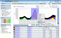 NetFlow Auditor screenshot