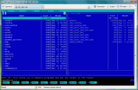 Rhino Terminal screenshot