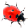 Ladybug on Desktop Windows 7