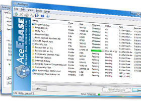 AceErase File Shredder History Eraser screenshot