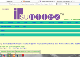 ipsunflez program builder screenshot