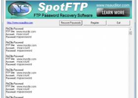 SpotFTP Password Recover screenshot