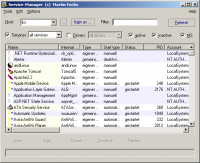 Service Manager screenshot