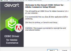 Magento ODBC Driver by Devart screenshot