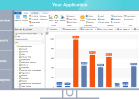 Ranet OLAP for WPF/Silverlight screenshot