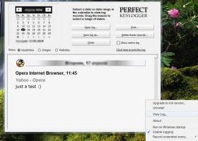 BlazingTools Perfect Keylogger Lite screenshot