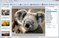 Boxoft Photo SlideShow Builder screenshot