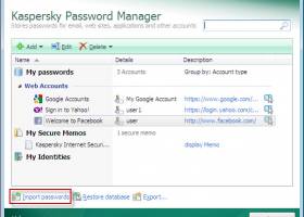kaspersky password manager 4