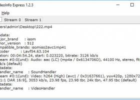 VideoInfo Express screenshot