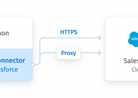 Salesforce Python Connector by Devart screenshot