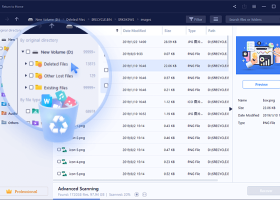 EASEUS Data Recovery Wizard Professional screenshot