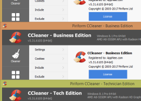 CCleaner Business Edition screenshot