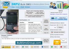 BlackBerry Bulk SMS Software screenshot