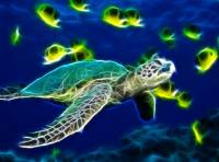 Sea Turtle Animated Wallpaper screenshot