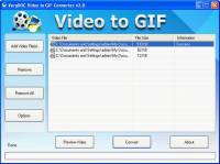 Video to GIF Animation Converter screenshot