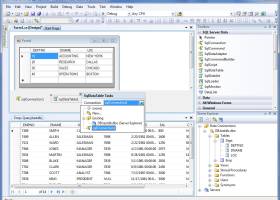 dotConnect for SQL Server screenshot