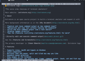 Extraterm screenshot