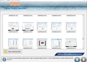 Digital Photo Picture Recovery Software screenshot