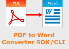 VeryUtils PDF to Word Converter SDK CLI screenshot