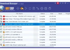 Ant Download Manager screenshot