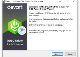 SQL Azure ODBC Driver by Devart screenshot