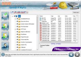 Professional File Recovery Software screenshot