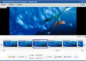 ThunderSoft Video to GIF Converter screenshot