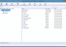 Raise Data Recovery for ReiserFS screenshot