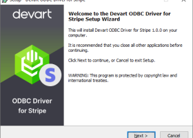 Stripe ODBC Driver by Devart screenshot