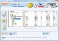 Data Recovery Files screenshot