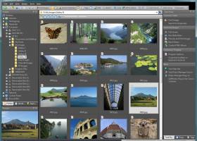 Photo Manager Pro screenshot