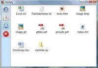 FileRally screenshot