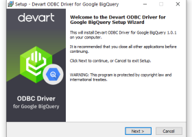 Google BigQuery ODBC Driver by Devart screenshot