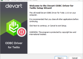 Twilio ODBC Driver by Devart screenshot