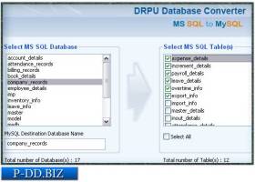 Microsoft SQL Database Migration Program screenshot