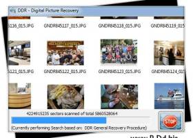 Restore Digital Pictures screenshot