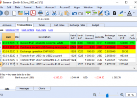 Banana Accounting for Windows screenshot