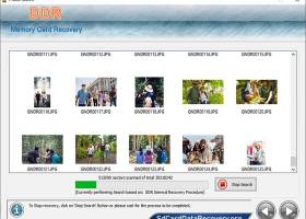 Memory Stick Recovery Software screenshot