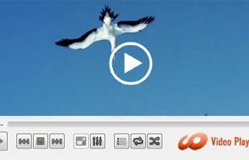 HD Video Media Player for Windows screenshot