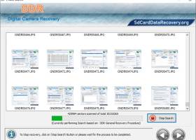 Digital Camera Data Recovery Software screenshot