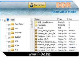 Data Recovery Removable Drive screenshot