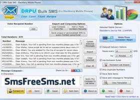 SMS Software for Blackberry screenshot