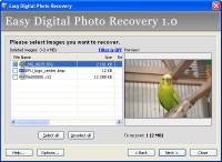 Easy Digital Photo Recovery screenshot