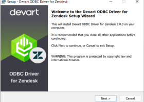 Zendesk ODBC Driver by Devart screenshot