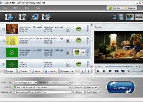 Tipard MXF Converter screenshot