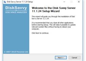 Disk Savvy Server screenshot