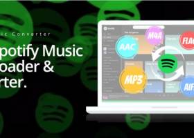 Pazu Spotify Music Converter screenshot