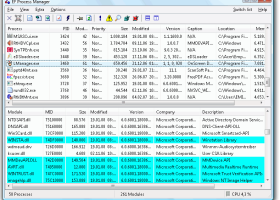 EF Process Manager screenshot