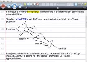 AudioNote - Notepad and Voice Recorder screenshot