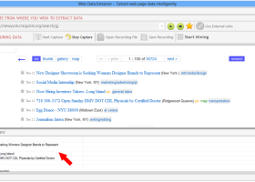 Web Data Extractor screenshot